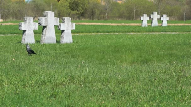 Крест на военном мемориальном кладбище Германии — стоковое видео