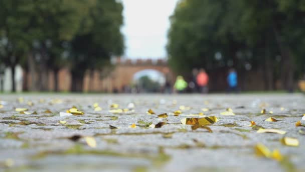 Confettis brillants dispersés sur le pavage de pierre — Video