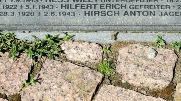 Den tyska militära memorial cemetery i Ryssland — Stockvideo