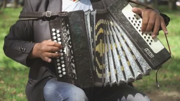 Volwassen man zit op een stoel speelt de accordeon — Stockvideo