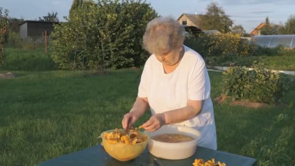 Elderly woman separates chanterelle mushrooms — Stock Video