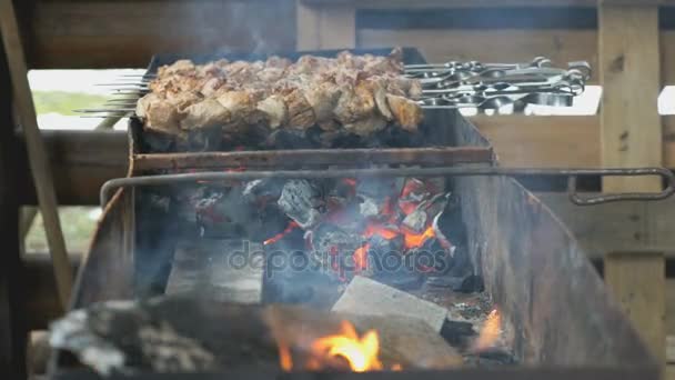 Kebabs se tuestan en las brochetas de metal en carbones — Vídeo de stock