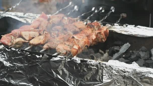 Cooking of pig meat on the metal skewers on coals — Stock Video