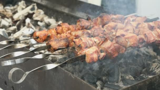 Cooking of pig meat on the metal skewers on coals — Stock Video