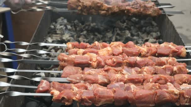 Cuisson de shashlik de porc sur des brochettes sur le gril — Video