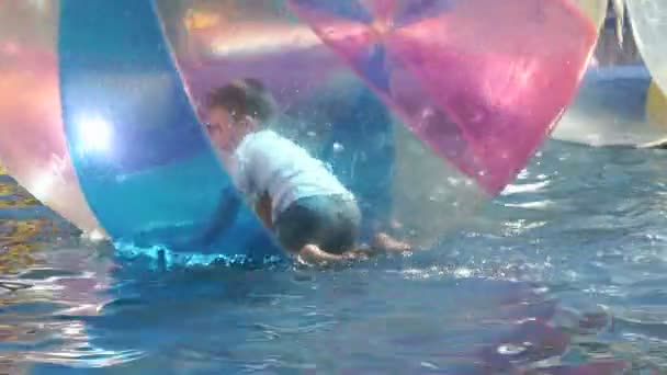 Little boy inside a big inflatable ball in water — Stock Video