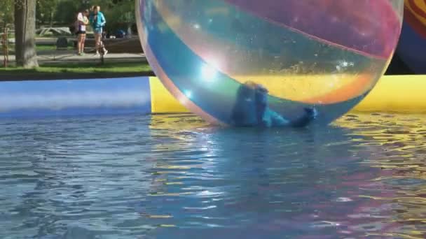 Kid schol binnen grote opblaasbare bal in een pool — Stockvideo