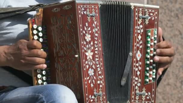 Adult man sitting on a chair plays the accordion — Stock Video