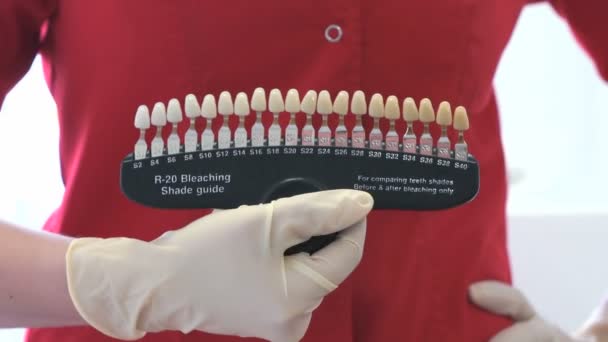 Dentysta w rękawice Wyświetlono paleta odcieni zębów — Wideo stockowe
