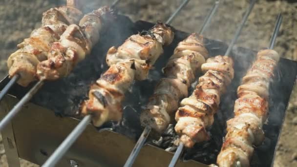 Kebab är grillas på metall spetten på kolen — Stockvideo