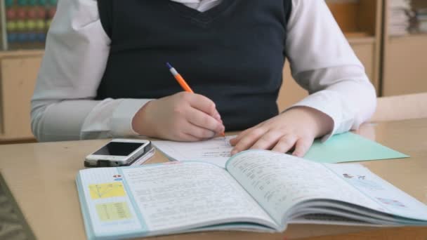 O estudante decide a tarefa no caderno — Vídeo de Stock