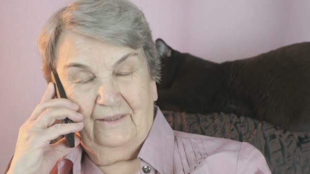 Oudere vrouw zit naast de zwarte kat. Close-up — Stockvideo