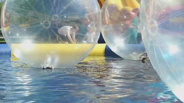 Grandes boules d'eau transparentes gonflables à l'extérieur — Video