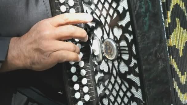 Мужчина в возрасте 60 лет играет на аккордеоне на открытом воздухе — стоковое видео