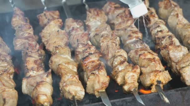 La carne se prepara en pinchos de metal en las brasas — Vídeo de stock