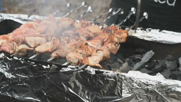 Μαγείρεμα του χοιρινού κρέατος σουβλάκια μεταλλικά σουβλάκια στα κάρβουνα — Αρχείο Βίντεο