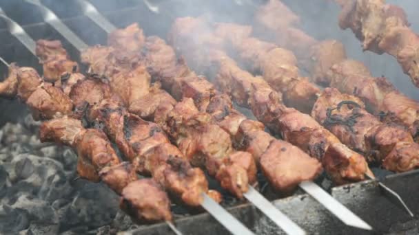 Cuisson de viande de porc sur les brochettes métalliques sur les charbons — Video