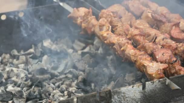 Cooking of pork skewers on metal skewers on coals — Stock Video