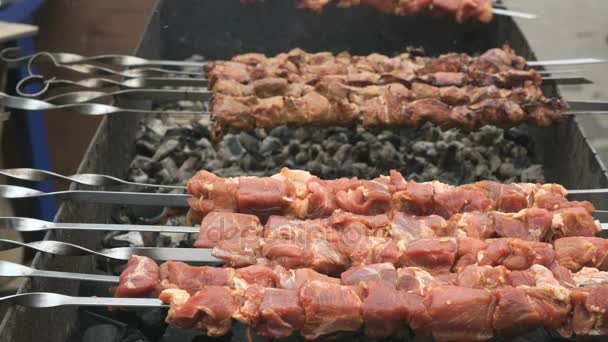 Frying of marinated meat on metal skewers on coals — Stock Video