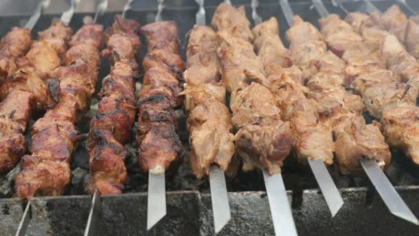 Frying of marinated meat on metal skewers on coals — Stock Video