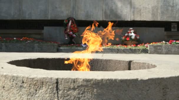 Verbrennung der ewigen Flamme im Kreml am Tag des Sieges — Stockvideo