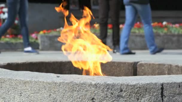 Llama eterna ardiendo en el Kremlin de Velikiy Novgorod — Vídeo de stock