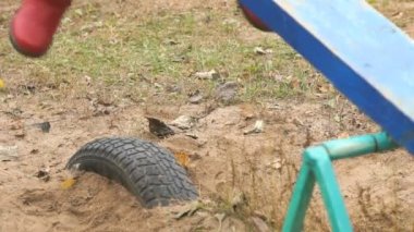 Küçük çocuk çocuklar birlikte salıncakta sürme