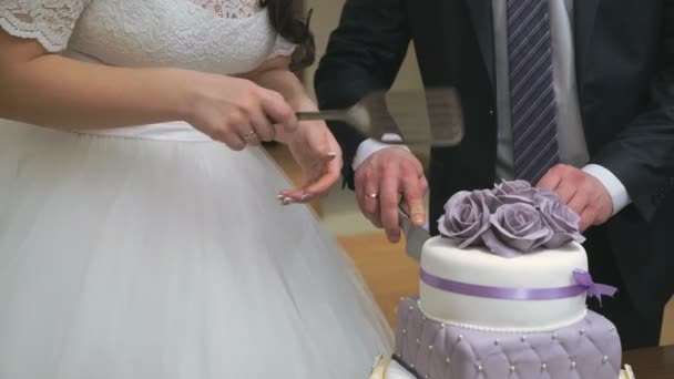 Frischvermählte schneiden köstliche süße Hochzeitstorte — Stockvideo