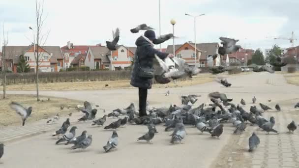 Kobieta w wieku 60 lat, karmienie stado gołębi — Wideo stockowe