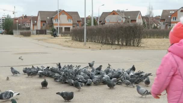 Pequeño niño asusta palomas en el parque — Vídeo de stock