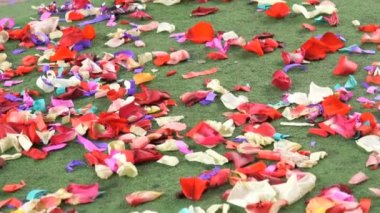 Güvercinler üzerinde dağınık gül yaprakları yürüyüş barış