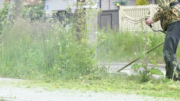 Trabajador cortando una hierba usando una podadora al aire libre — Vídeos de Stock