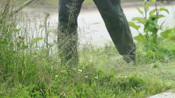 Hombre recortando hierba en un jardín usando una cortadora de césped — Vídeos de Stock