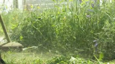 Adam kesme çim bir çim biçme makinesi kullanarak bir Bahçe