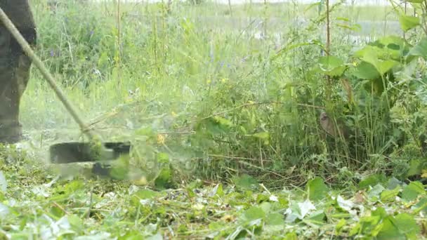 Садовник стрижет траву газонокосилкой на открытом воздухе — стоковое видео