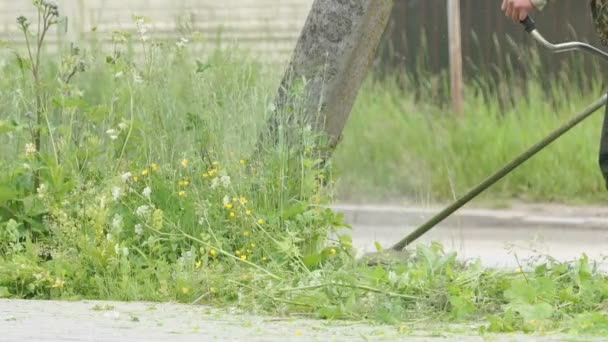 Człowiek przycinania trawy w ogrodzie za pomocą kosiarki do trawy — Wideo stockowe