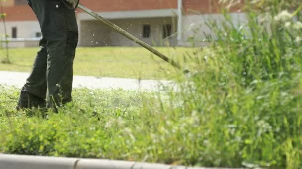 Газонокосилка косит траву, чтобы сделать красивый дизайн — стоковое видео