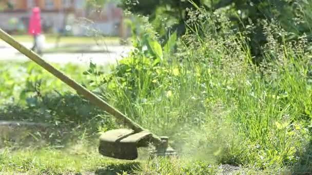 Güzel tasarım yapmak için çim biçme adam mows — Stok video