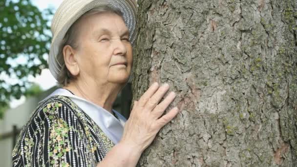 Anciana abrazando tronco de árbol sus manos en el bosque — Vídeo de stock