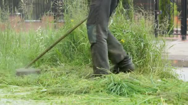 Чоловік обрізає траву в саду за допомогою газонокосарки — стокове відео