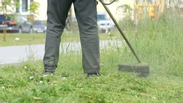 Рабочий стрижет траву стрингом для газона — стоковое видео