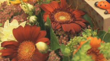 Partide güzel çiçekler buket. Yakın çekim