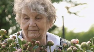 Yaşlı kadın peonies büyüyen arka planda