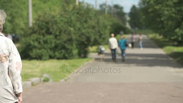 Пожилая женщина, гуляющая в парке летом — стоковое видео