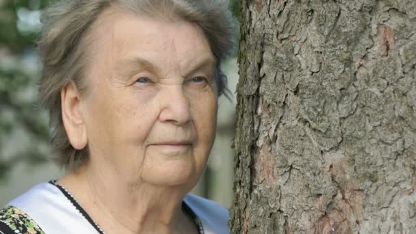 森林の深刻な高齢老婆の肖像画 — ストック動画