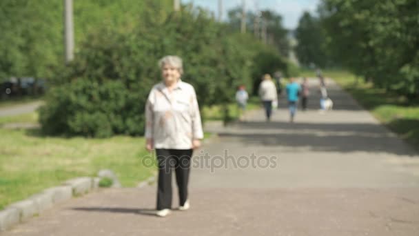 Starsza kobieta spaceru w parku w lecie — Wideo stockowe