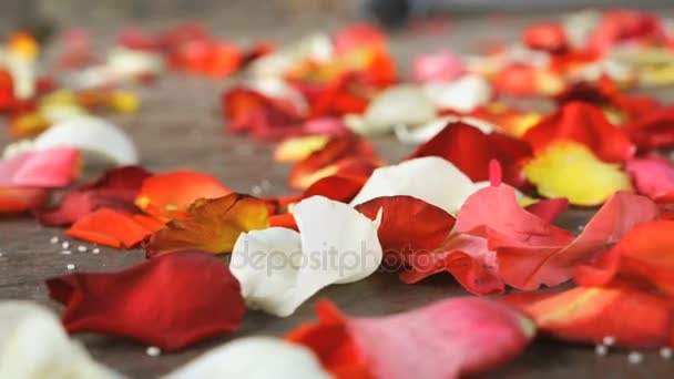 Petali di rosa rosso, bianco sparsi su una piastrella di marmo — Video Stock