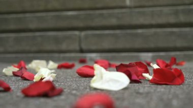 Kırmızı, beyaz gül yaprakları bir mermer döşeme üzerinde dağınık