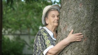 Yaşlı ağaç gövdesi elleri ormanda sarılma.
