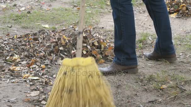 Donna spazzare le foglie con scopa nel parco — Video Stock